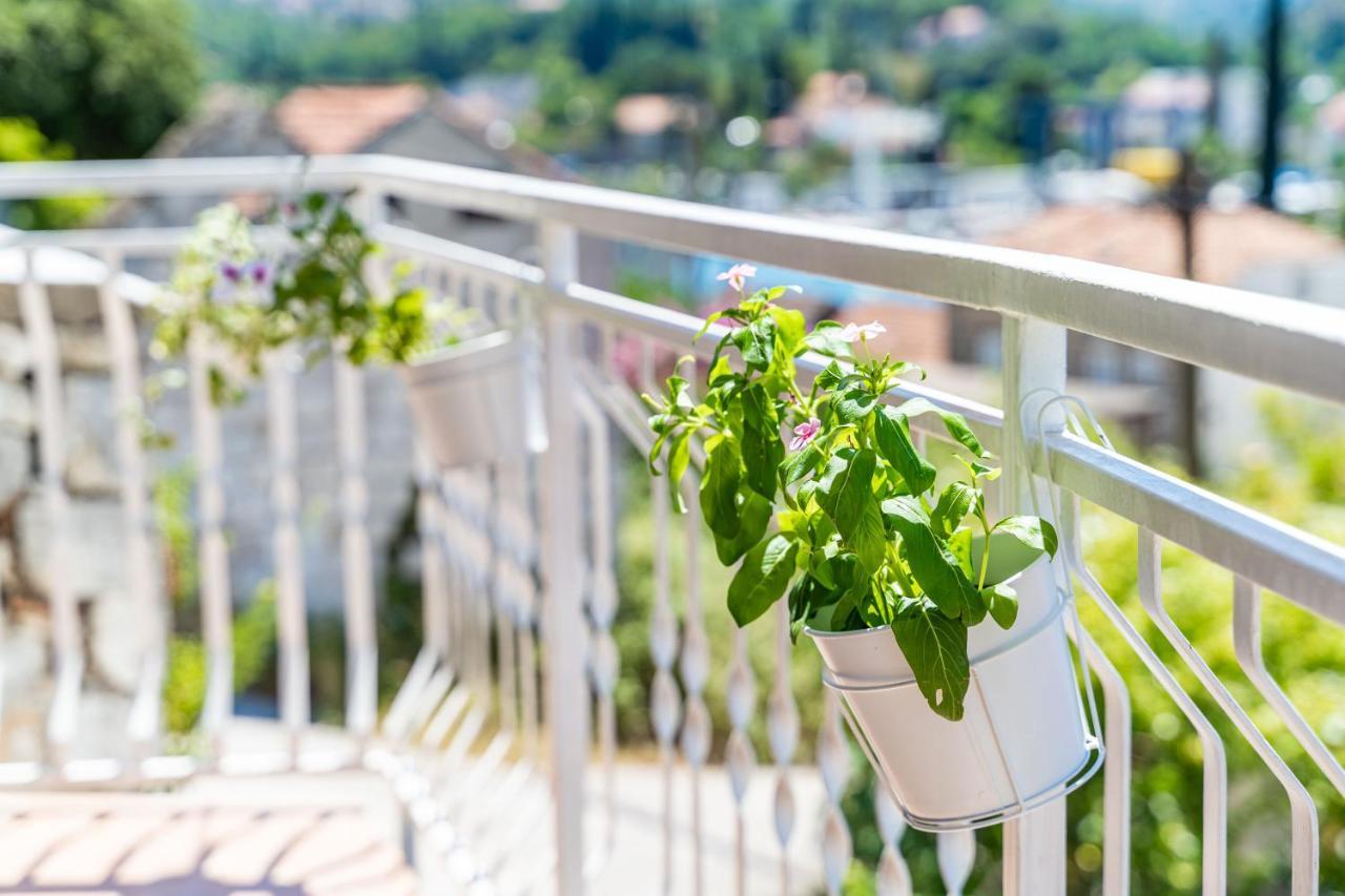 Apartment House Of Artichoke With Amazing Sea View, Dubrovnik Mokošica المظهر الخارجي الصورة