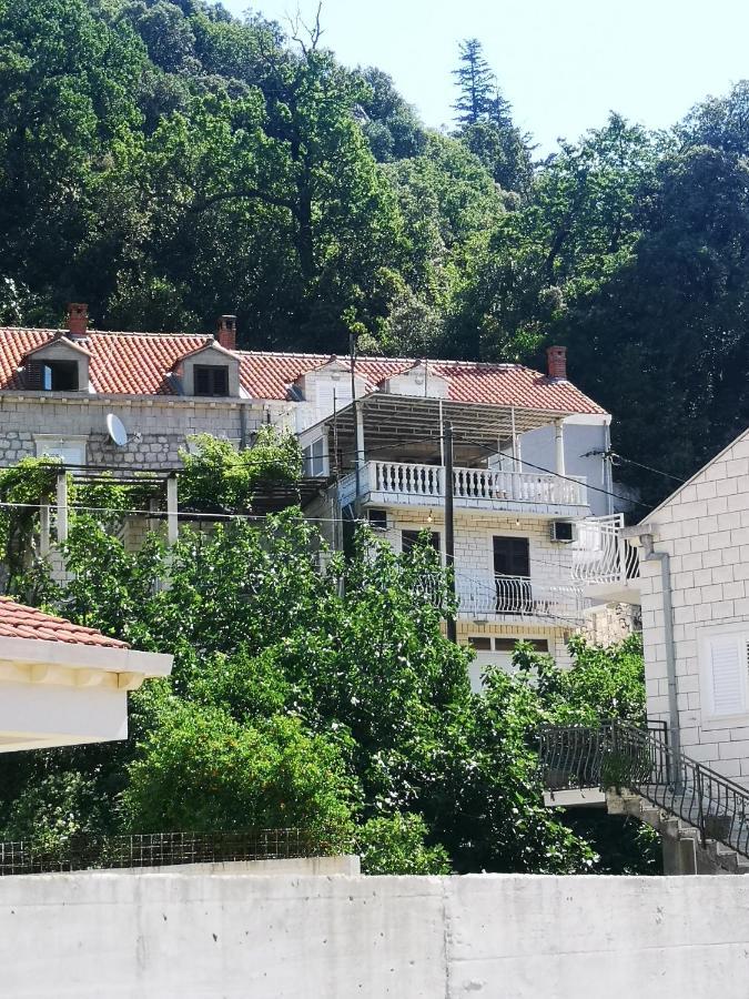 Apartment House Of Artichoke With Amazing Sea View, Dubrovnik Mokošica المظهر الخارجي الصورة